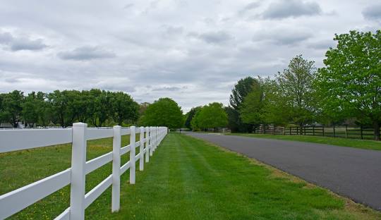 Colts Neck NJ