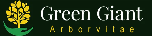 Green Giant Arborvitae